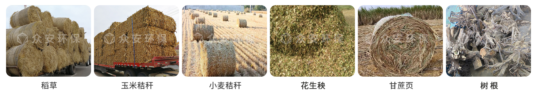 生物质_01.jpg